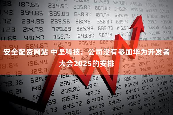 安全配资网站 中坚科技：公司没有参加华为开发者大会2025的安排
