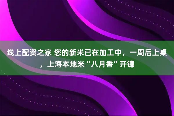 线上配资之家 您的新米已在加工中，一周后上桌，上海本地米“八月香”开镰
